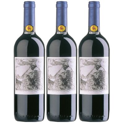 Lamarein V.d.T - Vertikalverkostung - Magnum